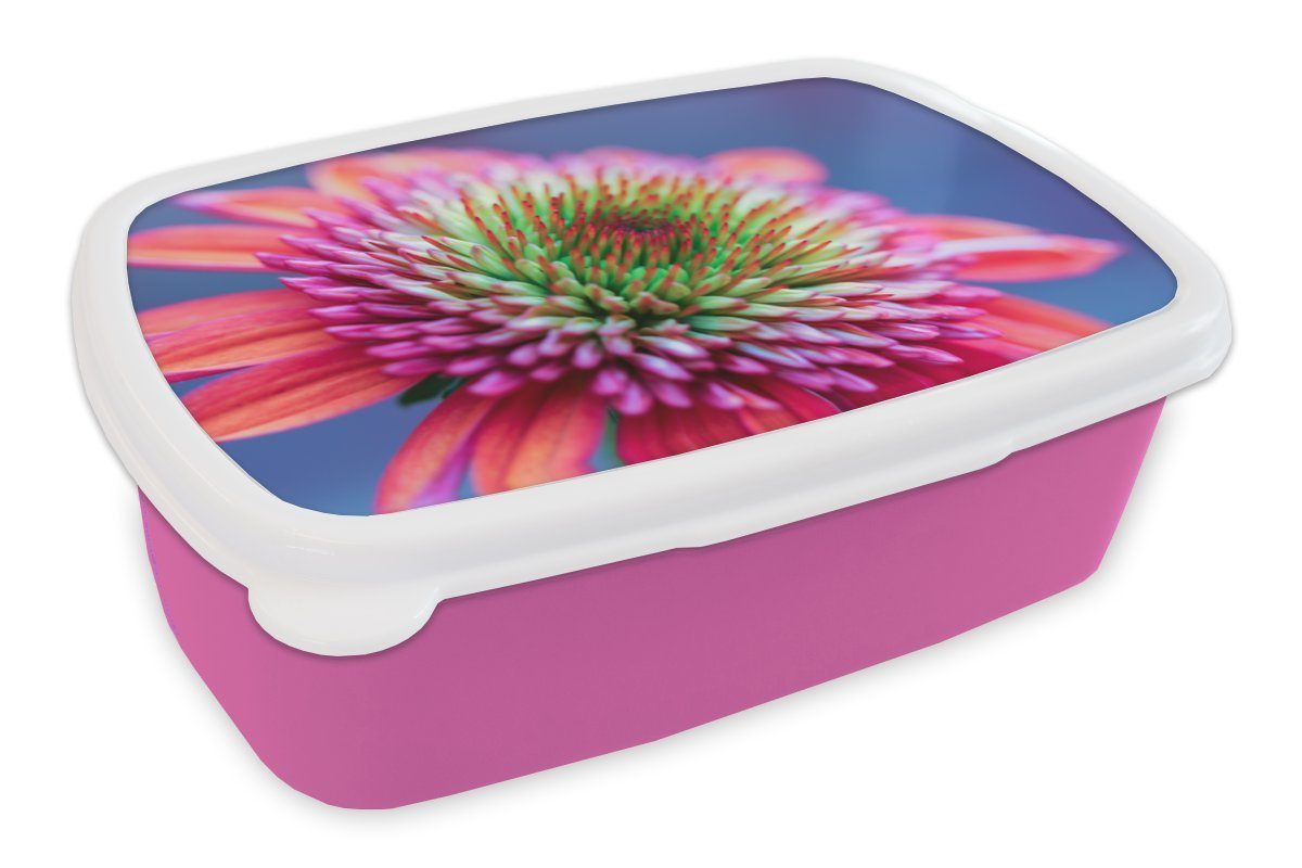 MuchoWow Lunchbox Blumen - Rosa - Hell, Kunststoff, (2-tlg), Brotbox für Erwachsene, Brotdose Kinder, Snackbox, Mädchen, Kunststoff