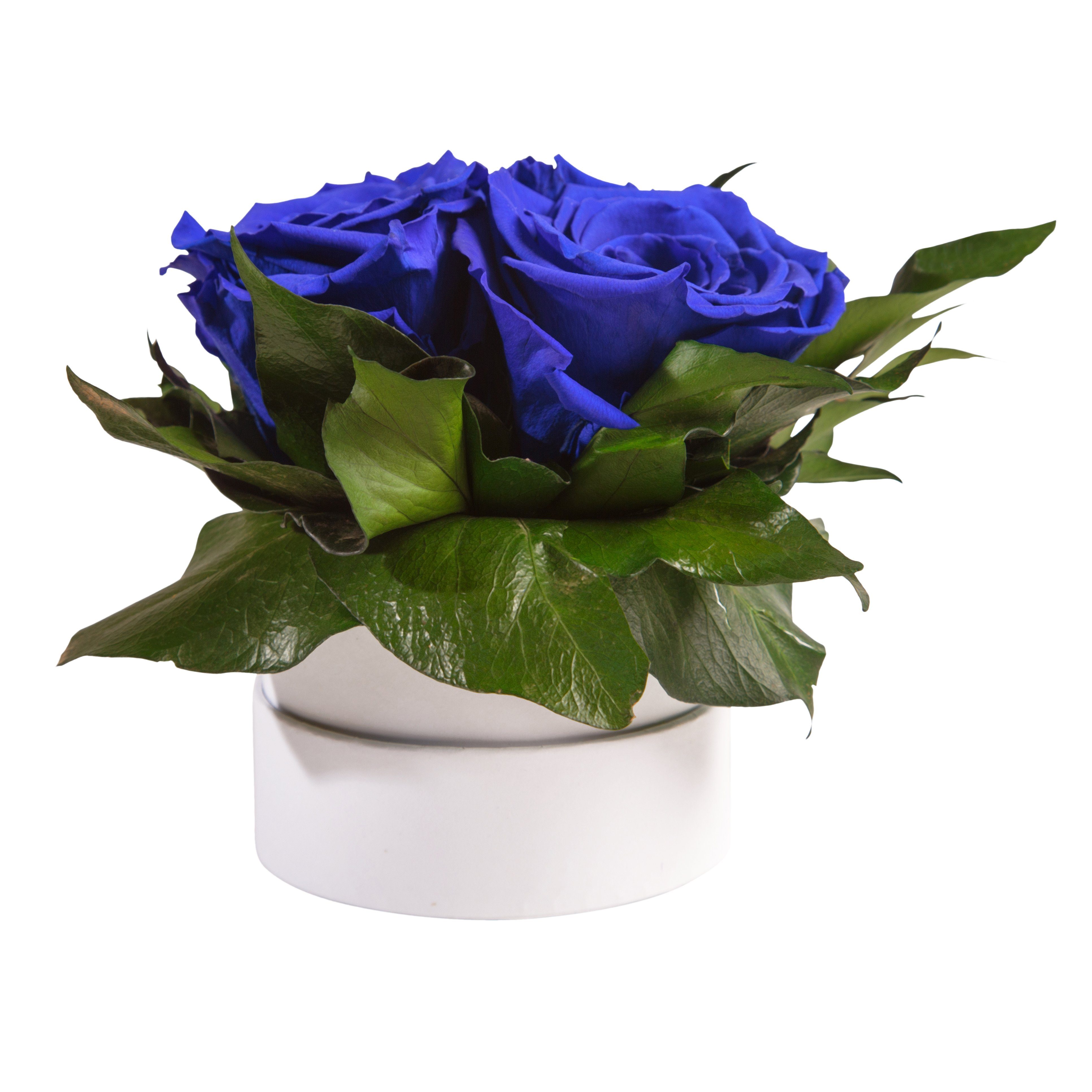 Rosen Geschenk Rosenbox rund 10 für SCHULZ 3 ROSEMARIE Rosen Infinity echte cm, Höhe Heidelberg, weiß Kunstblume Rose, Blau Sie konserviert