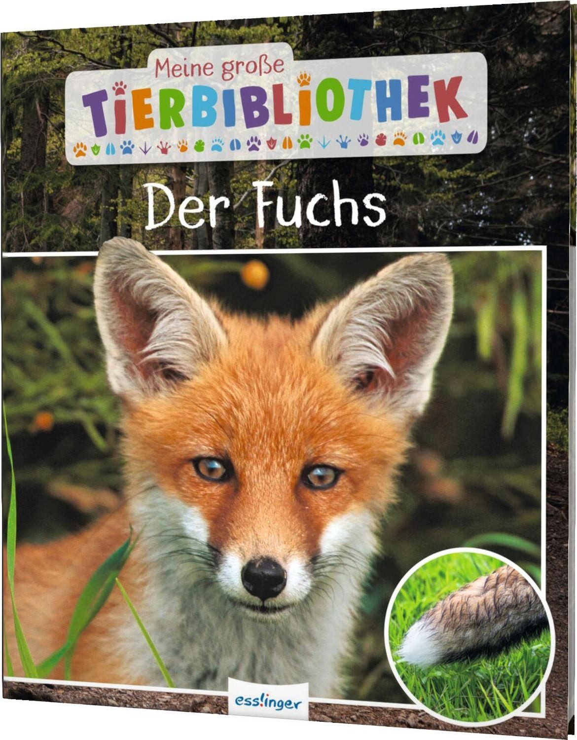 Meine große Tierbibliothek: Der Fuchs / Christian Havard