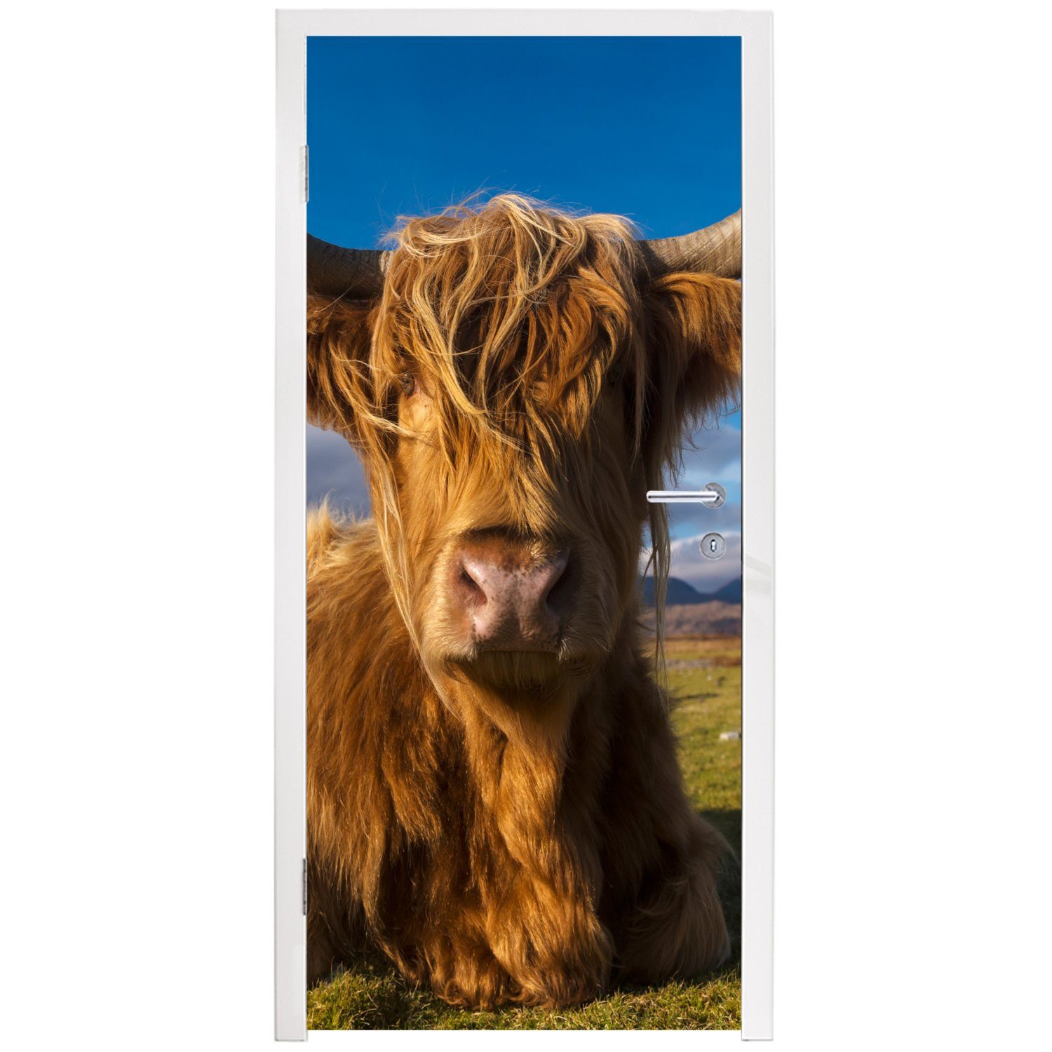 Highlander Gras, MuchoWow Matt, cm Tür, St), Schottische Türtapete - - Fototapete Tiere bedruckt, (1 75x205 Türaufkleber, für