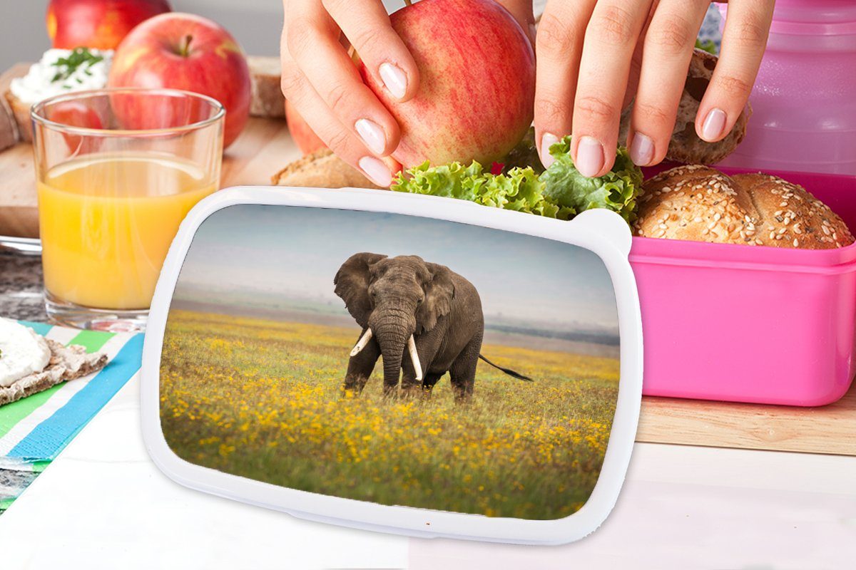 - Snackbox, (2-tlg), Mädchen, - Kunststoff, Tiere Erwachsene, für - rosa Elefant MuchoWow Natur, - Blumen Kunststoff Brotdose Lunchbox Kinder, Gras Brotbox