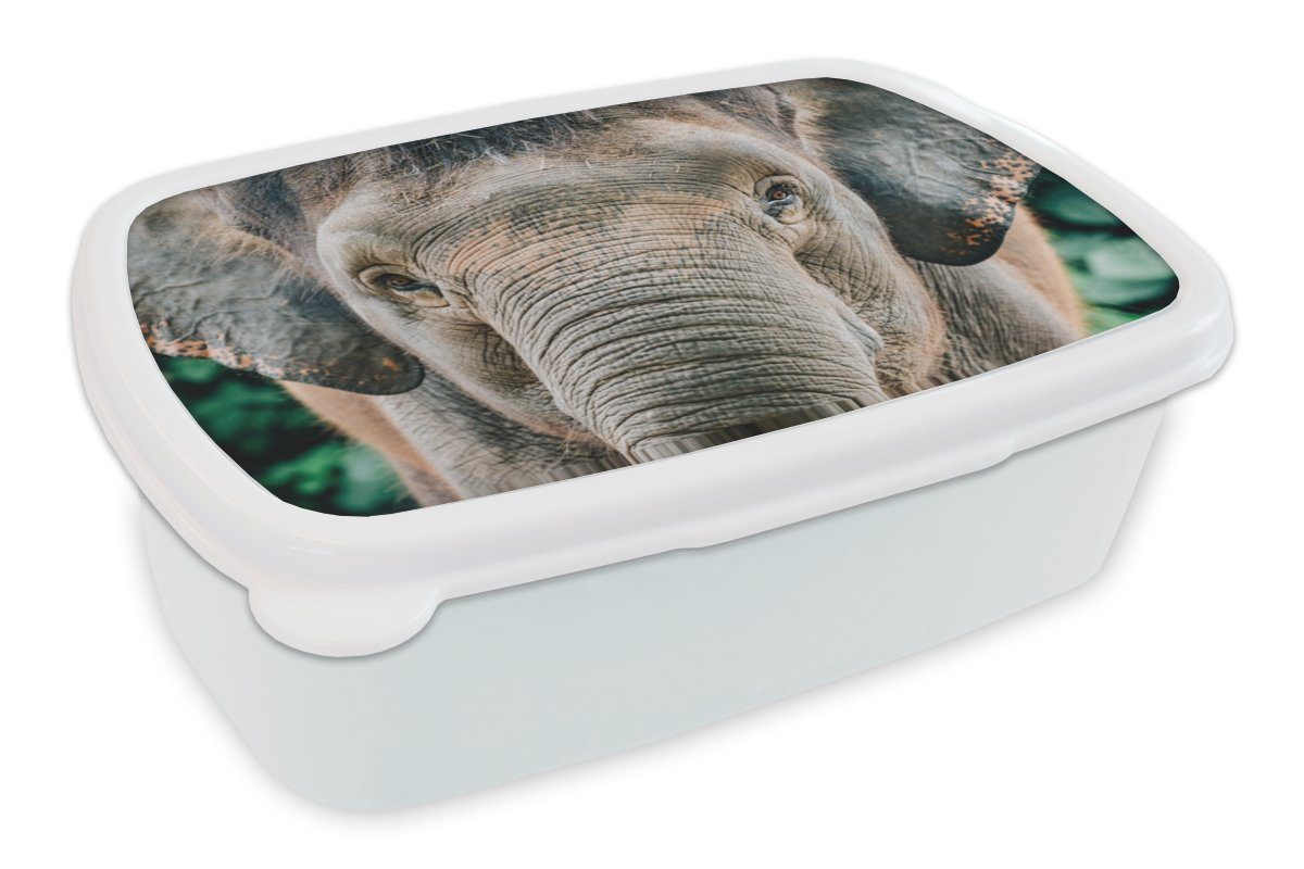 MuchoWow Lunchbox Elefant - Porträt - Tiere - Grau, Kunststoff, (2-tlg), Brotbox für Kinder und Erwachsene, Brotdose, für Jungs und Mädchen weiß