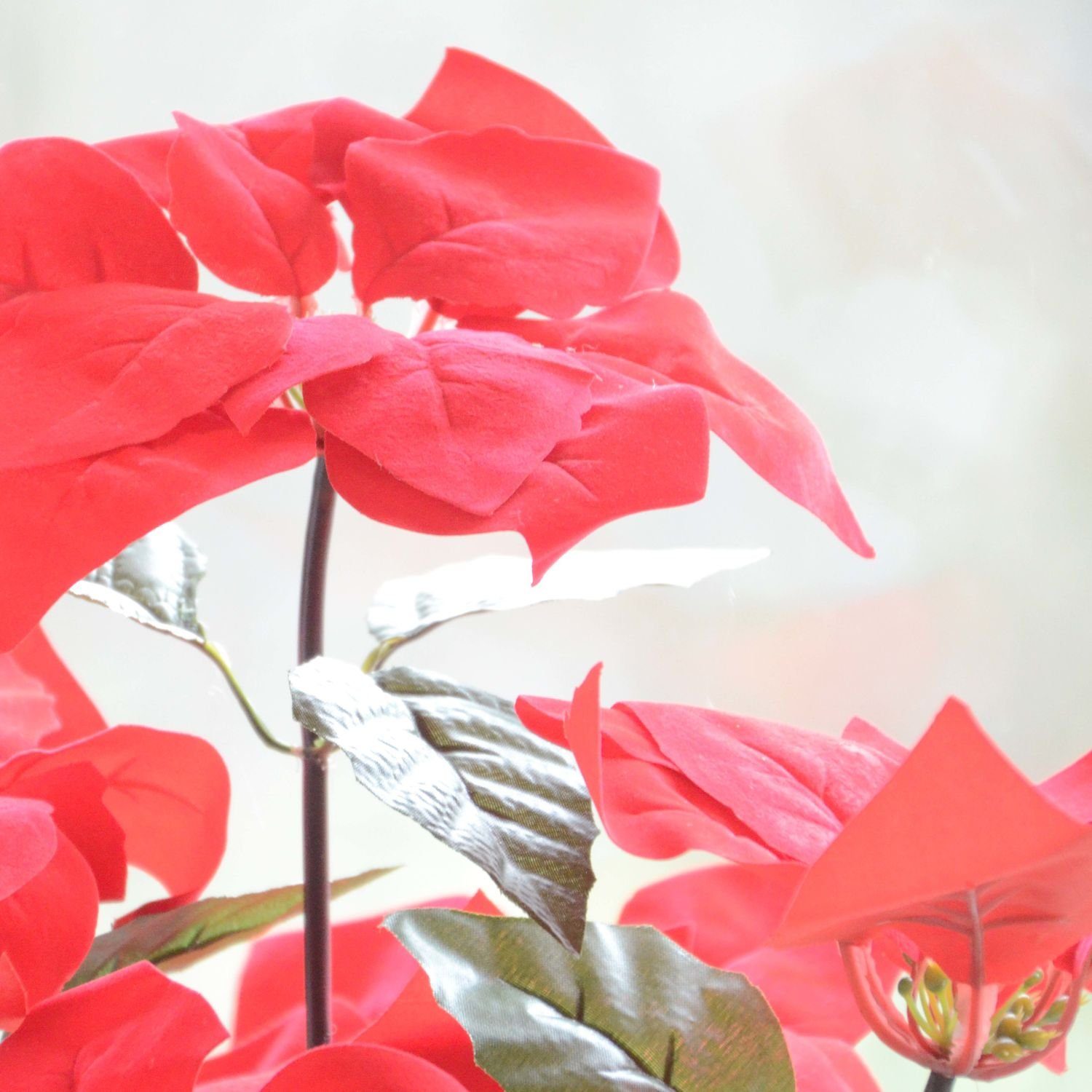 Licht-Erlebnisse Nachttischlampe LED BLUME, LED, Warmweiß, günstig online kaufen