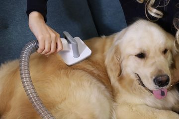 AstroPet Hundeschermaschine mit Staubsauger, 5 in 1 Profi Schermaschine, Saugt 99% der Tierhaare