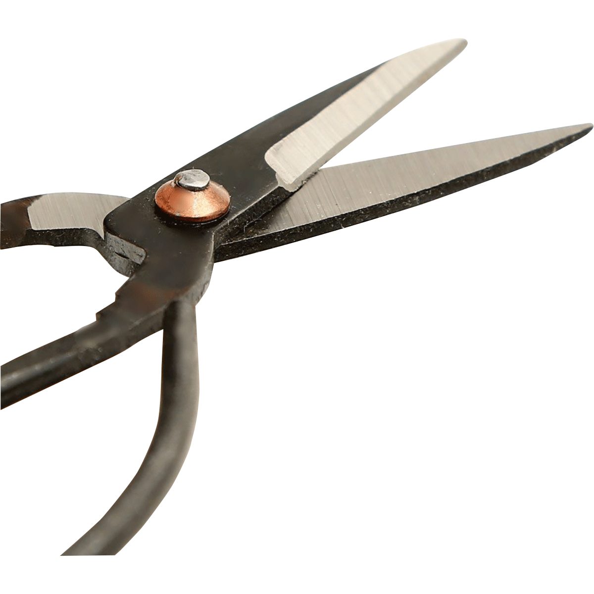 Gartenschere Schere für Bonsai-Pflanzen und Blüten.