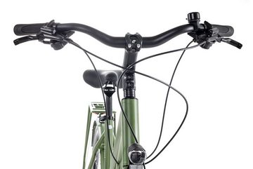 Bergrausch Trekkingrad Hochwilde Trapez, 27 Gang Shimano Alivio RD-M3100SGS Schaltwerk, Kettenschaltung, Herrenrad Damenrad 28 Zoll grün