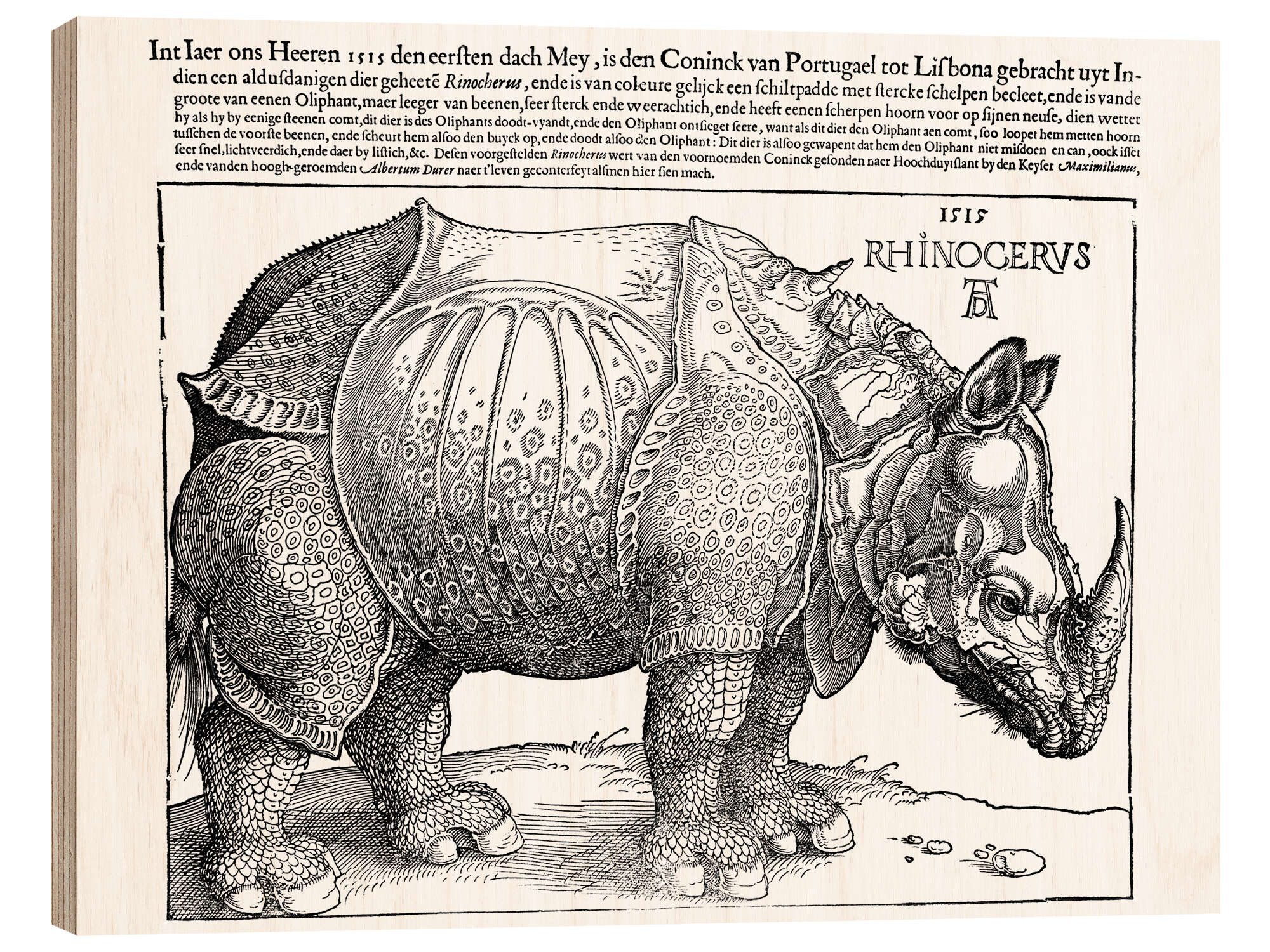 Holzbild Albrecht Dürer