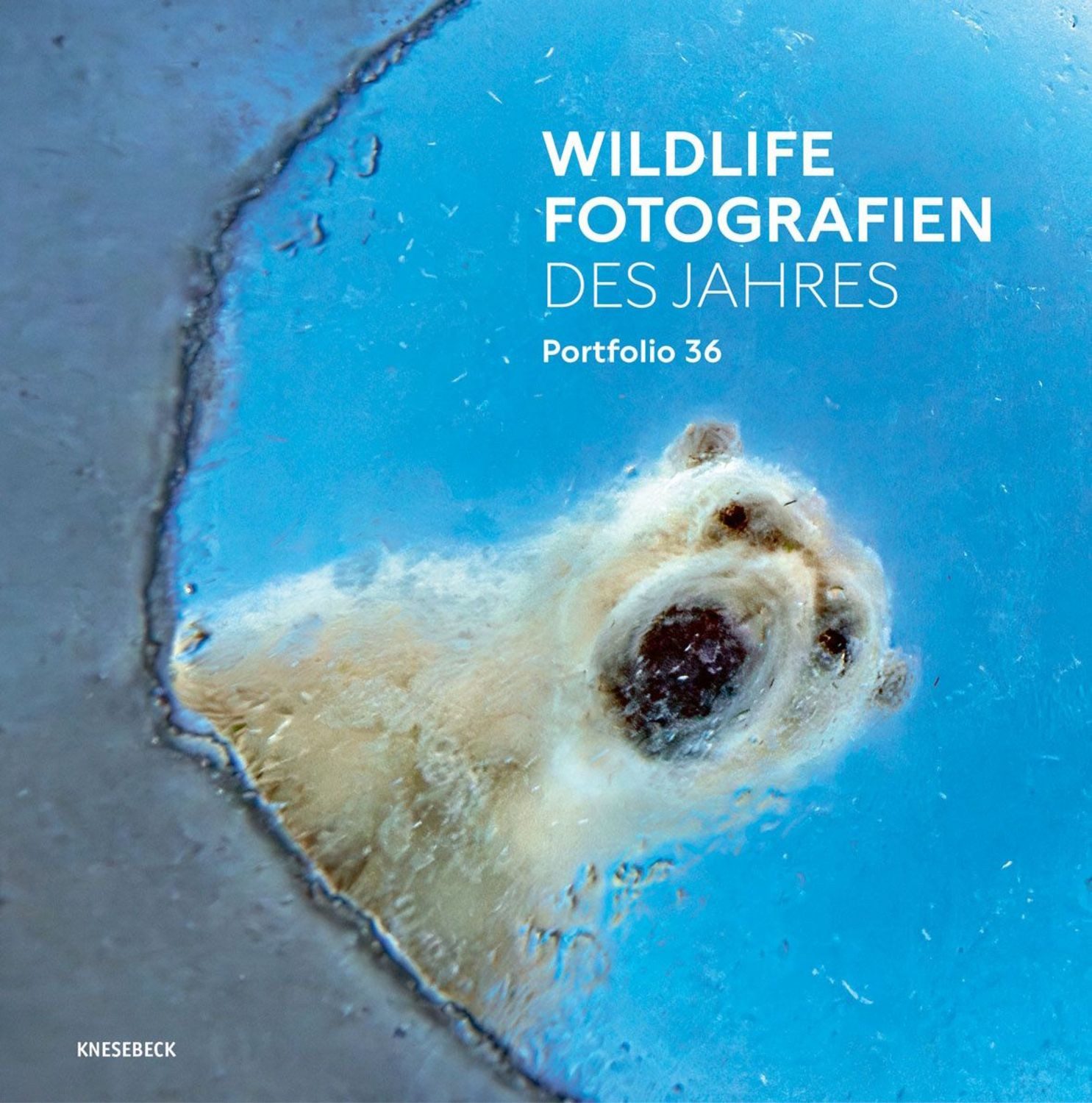 Wildlife Fotografien des Jahres - Portfolio 36 / diverse