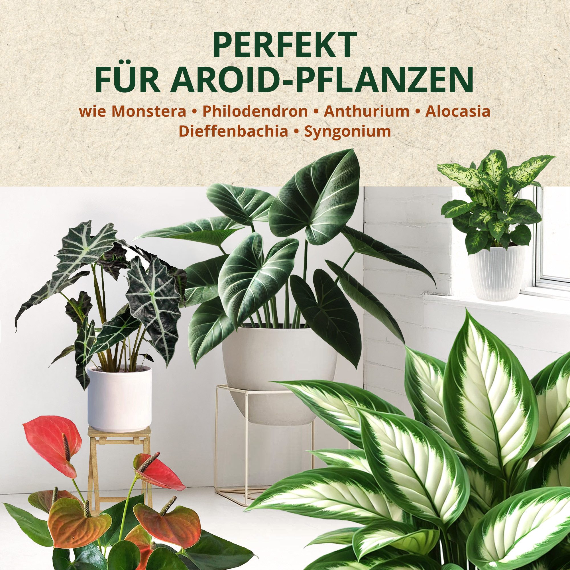 OraGarden Spezialerde OraGarden Aroiden-Erde 3 Liter, mit Wurmhumus, (Packung), Enthält wertvollen Wurmhumus – Bild 4 von 5