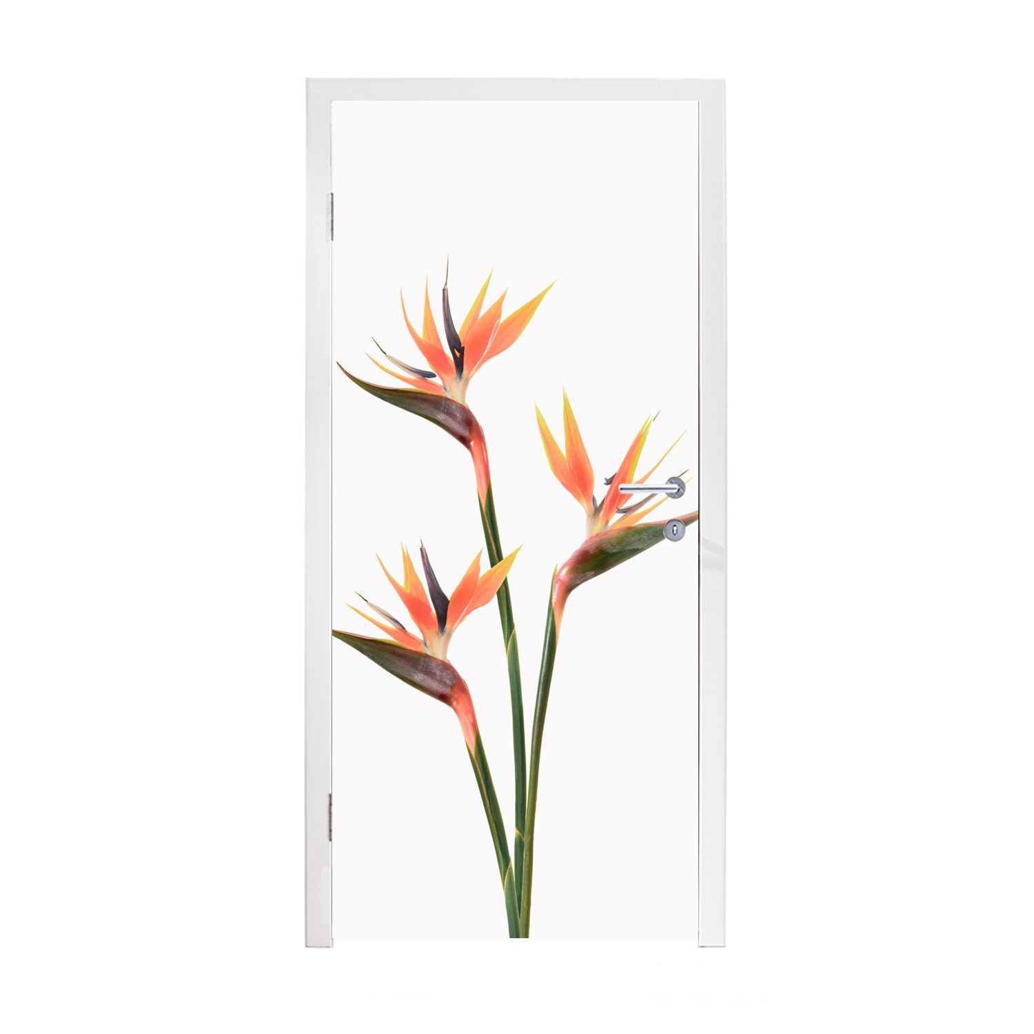 MuchoWow Türtapete Blumen Fototapete Pflanzen, bedruckt, Natur - cm Matt, Tür, Türaufkleber, - (1 Orange - St), 75x205 für