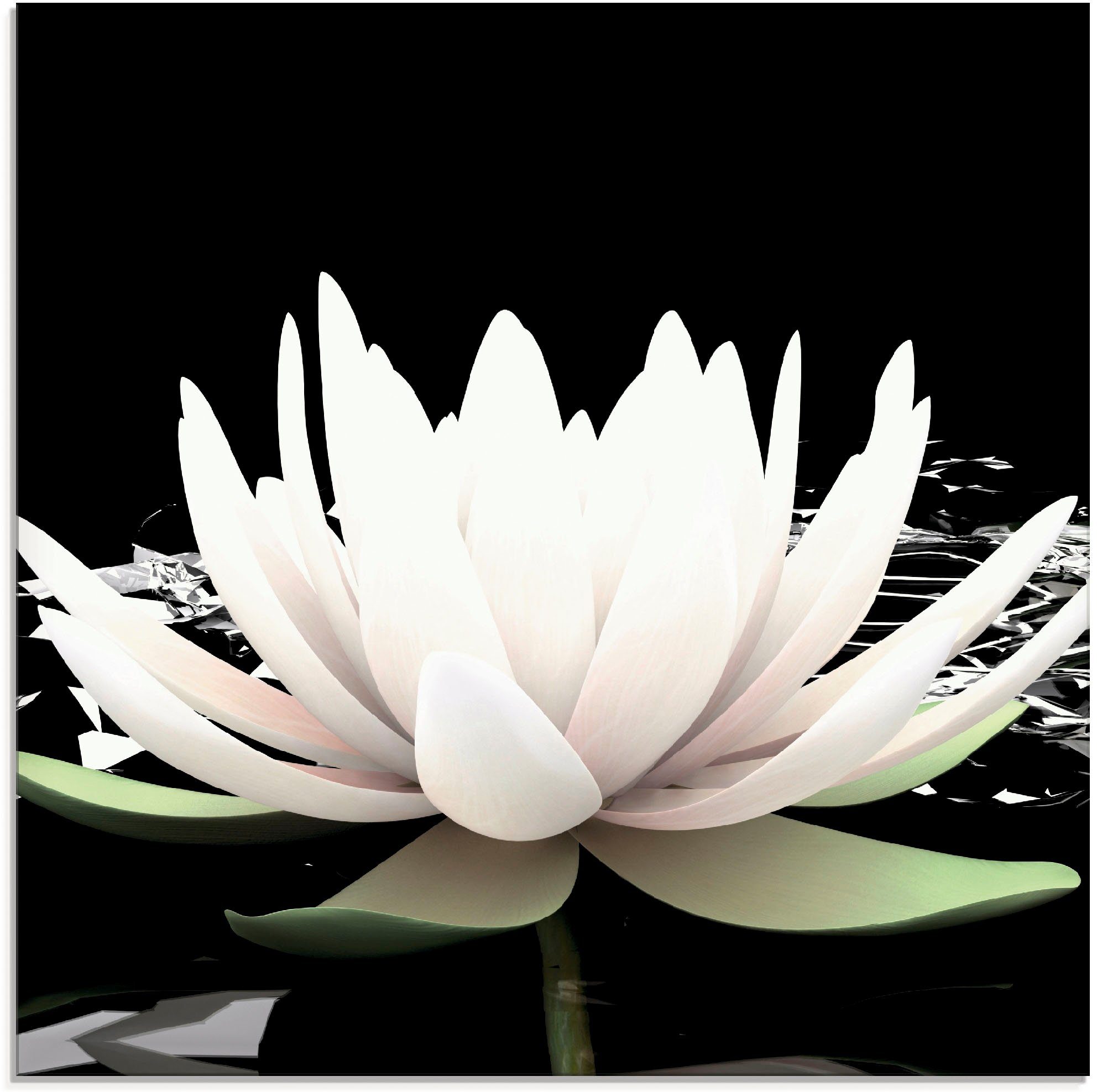 Artland Glasbild Zwei Lotusblumen auf dem Wasser, Blumen (1 St), in verschiedenen Größen | Bilder