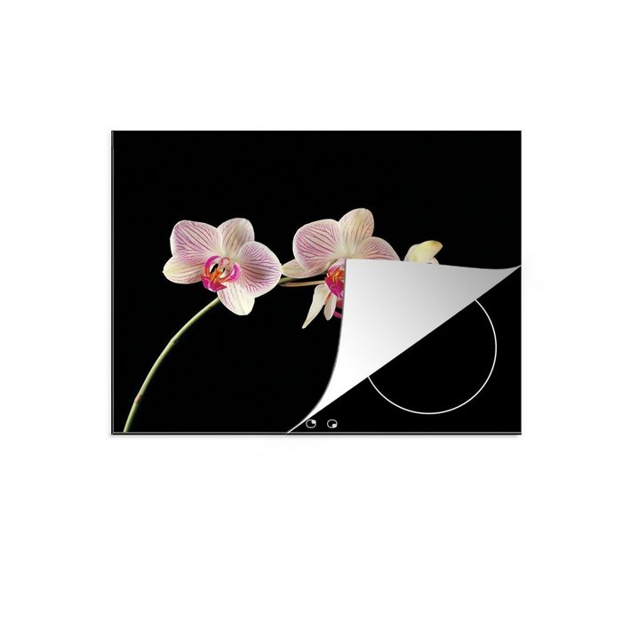 MuchoWow Herdblende-/Abdeckplatte orchidee-gegen-schwarzen-hintergrund-ytp60pct-v2 Vinyl (1 tlg) Mobile Arbeitsfläche nutzbar Ceranfeldabdeckung
