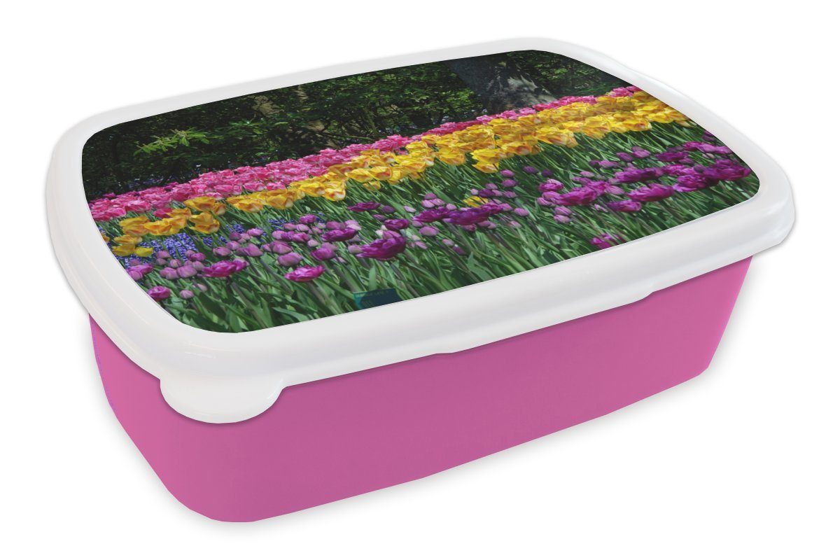 MuchoWow Lunchbox Tulpen auf dem Keukenhof in den Niederlanden, Kunststoff, (2-tlg), Brotbox für Erwachsene, Brotdose Kinder, Snackbox, Mädchen, Kunststoff rosa | Lunchboxen