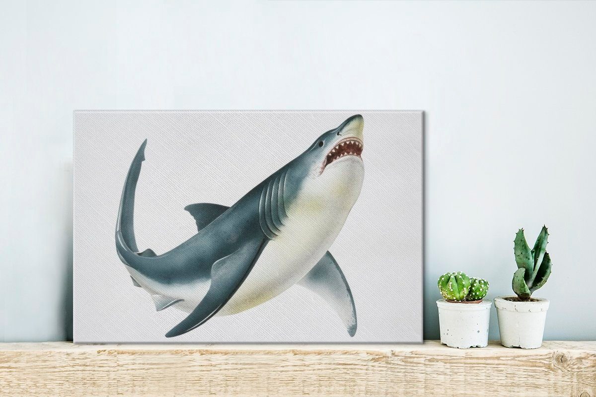 Illustration (1 Hintergrund, 30x20 Wandbild weißem Hais St), OneMillionCanvasses® weißen eines auf cm Leinwandbilder, Aufhängefertig, Leinwandbild Wanddeko, Eine