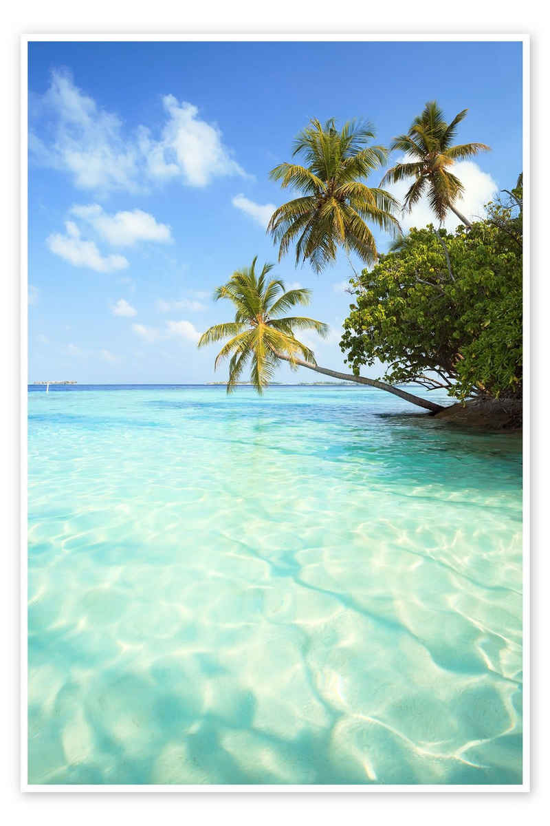 Posterlounge Poster Matteo Colombo, Türkises Meer und Palmen, Malediven, Badezimmer Maritim Fotografie