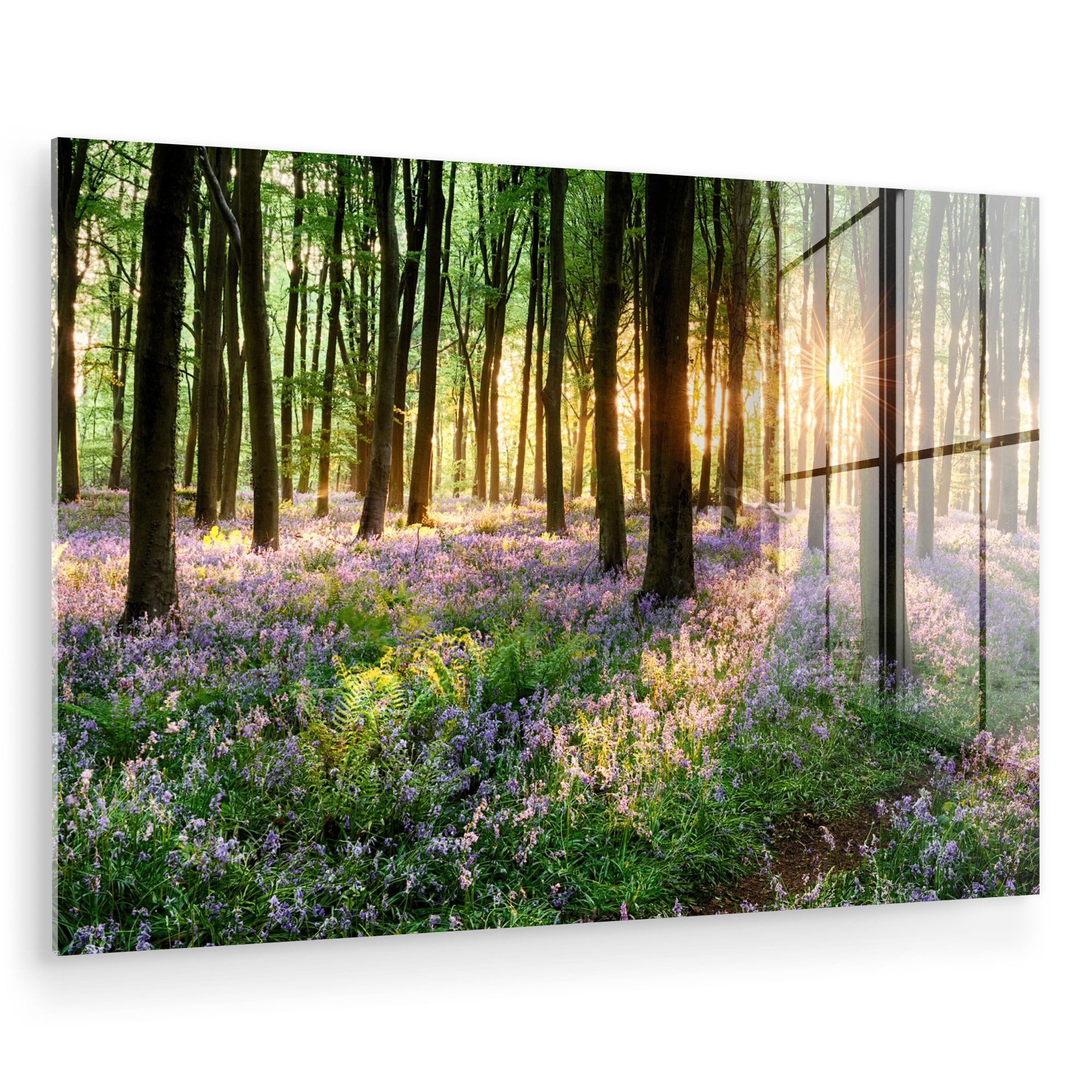 MuchoWow Acrylglasbild Wald - Blumen - Lavendel - Sonne - Lila - Natur, Inkl. Aufhängung, Glasbilder Wohnzimmer, Schlafzimmer, Flur & Esszimmer, 30x20 cm