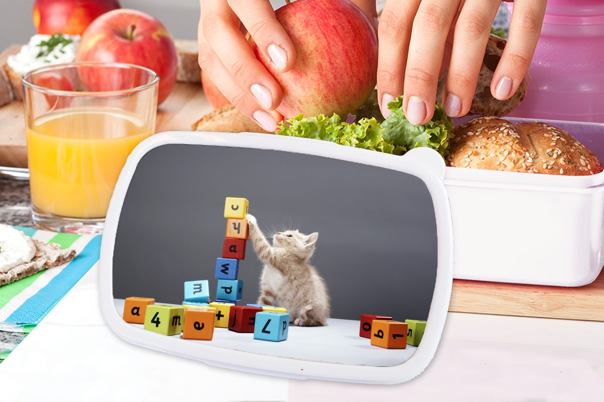 MuchoWow Lunchbox Ein Kätzchen spielt weiß (2-tlg), Mädchen Jungs und Kinder für bunten Erwachsene, Kunststoff, Brotdose, und für Blöcken, Brotbox mit