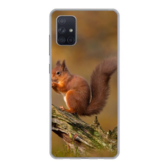 MuchoWow Handyhülle Eichhörnchen - Baumstamm - Wald Phone Case Handyhülle Samsung Galaxy A71 Silikon Schutzhülle