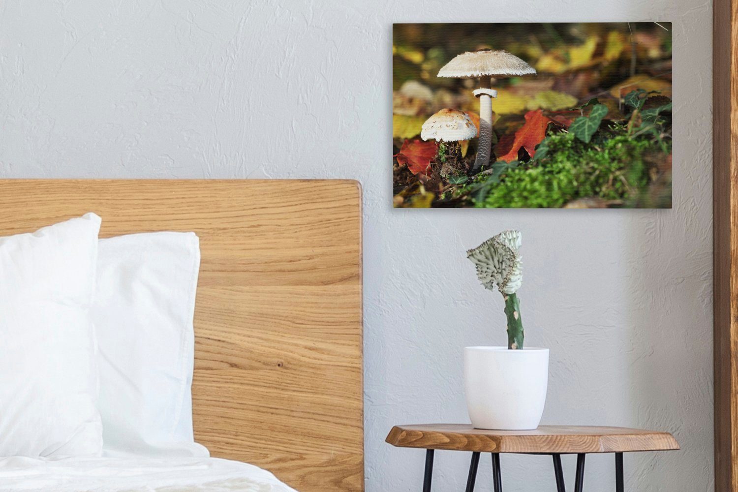Leinwandbild (1 einem Wald, Wanddeko, St), cm OneMillionCanvasses® 30x20 Pilze Leinwandbilder, Wandbild in Aufhängefertig,