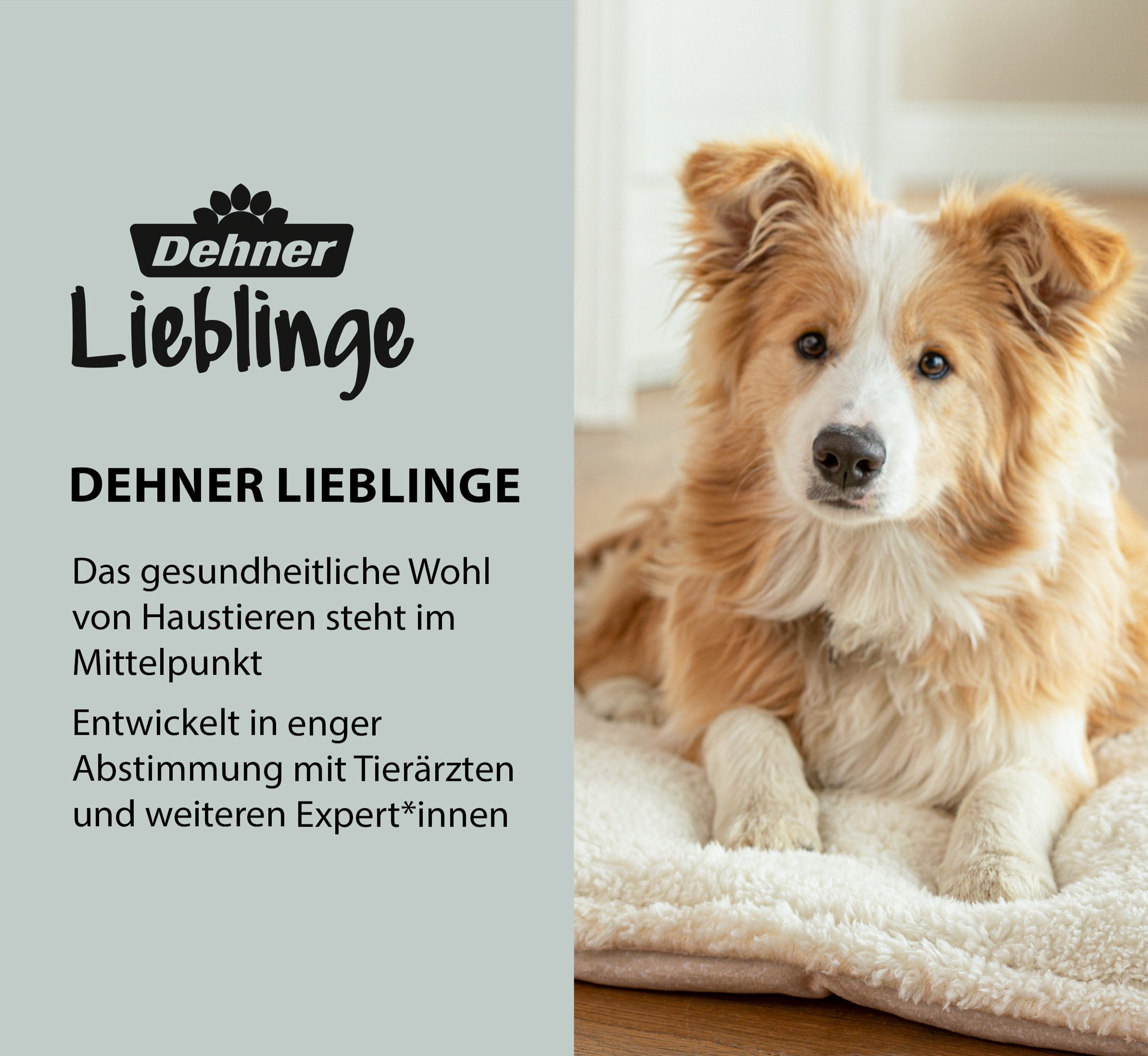 Dehner Hunde-Geschirr Tragehilfe für Hunde, versch. Größen, Polyester, Unterstützung bei Mobilitätsproblemen, ergonomisch und strapazierfähig