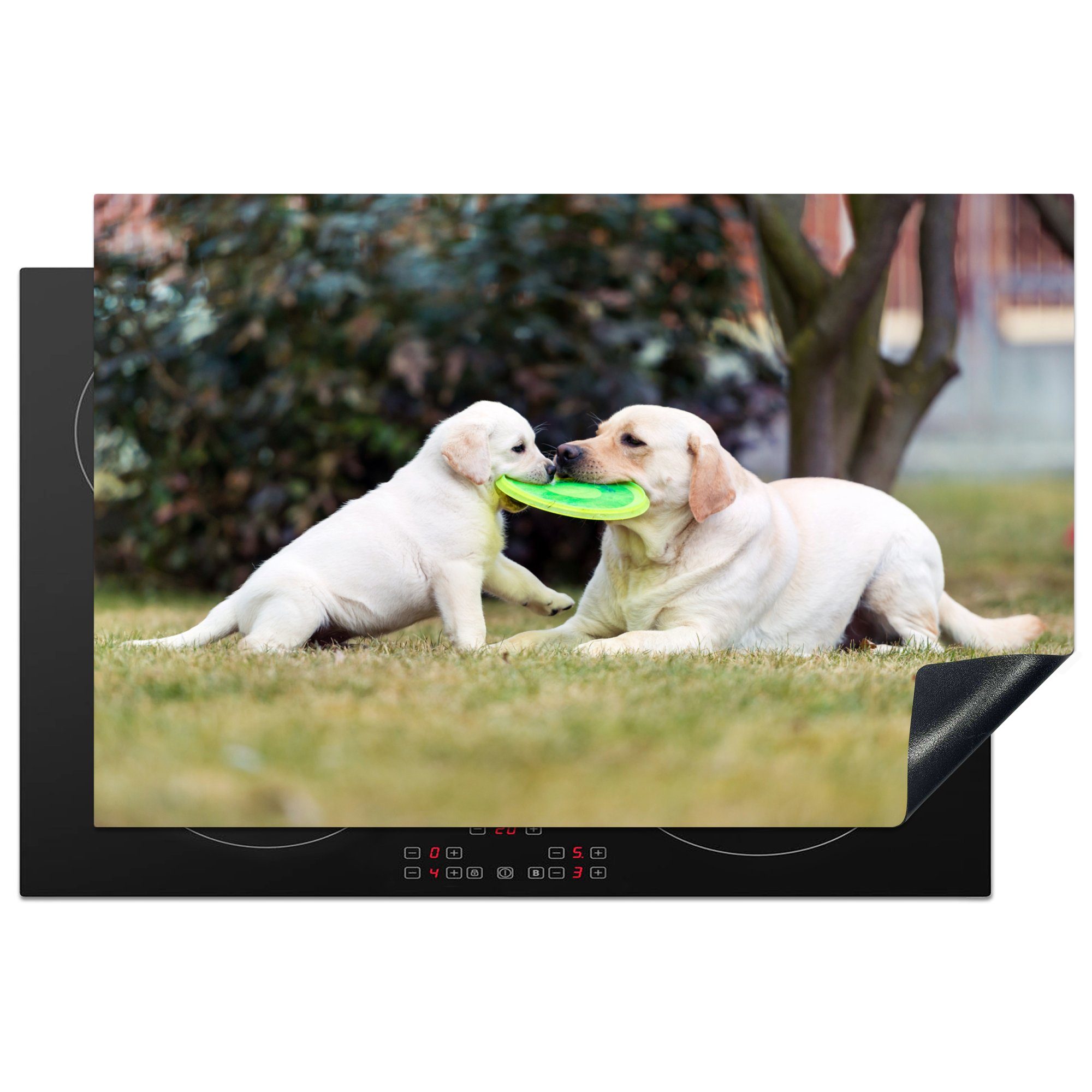 MuchoWow Herdblende-/Abdeckplatte Hund mit seinem Welpen und einem Frisbee, Vinyl, (1 tlg), 81x52 cm, Induktionskochfeld Schutz für die küche, Ceranfeldabdeckung