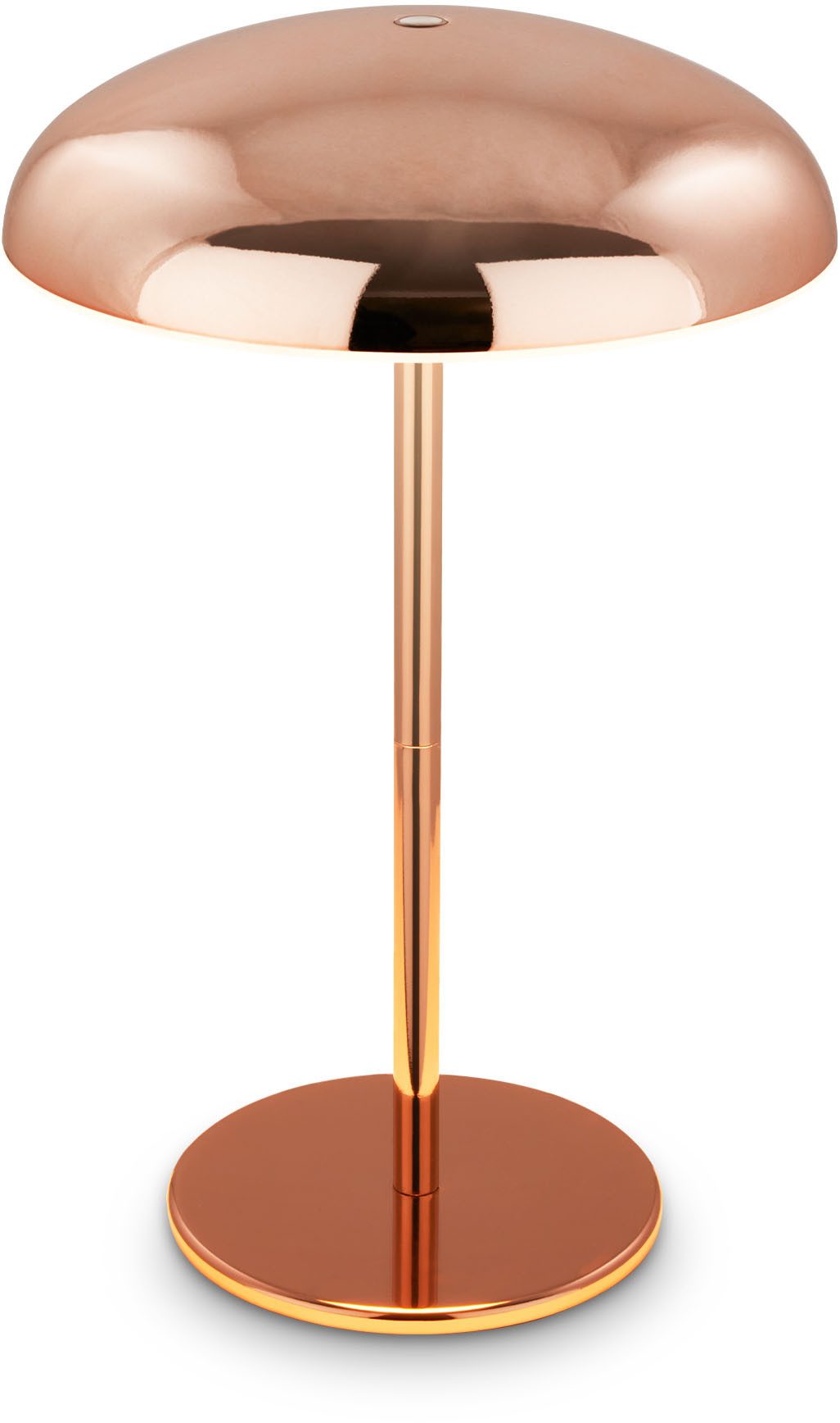 Briloner Leuchten LED Außen-Tischleuchte CAXA 7573013 günstig online kaufen