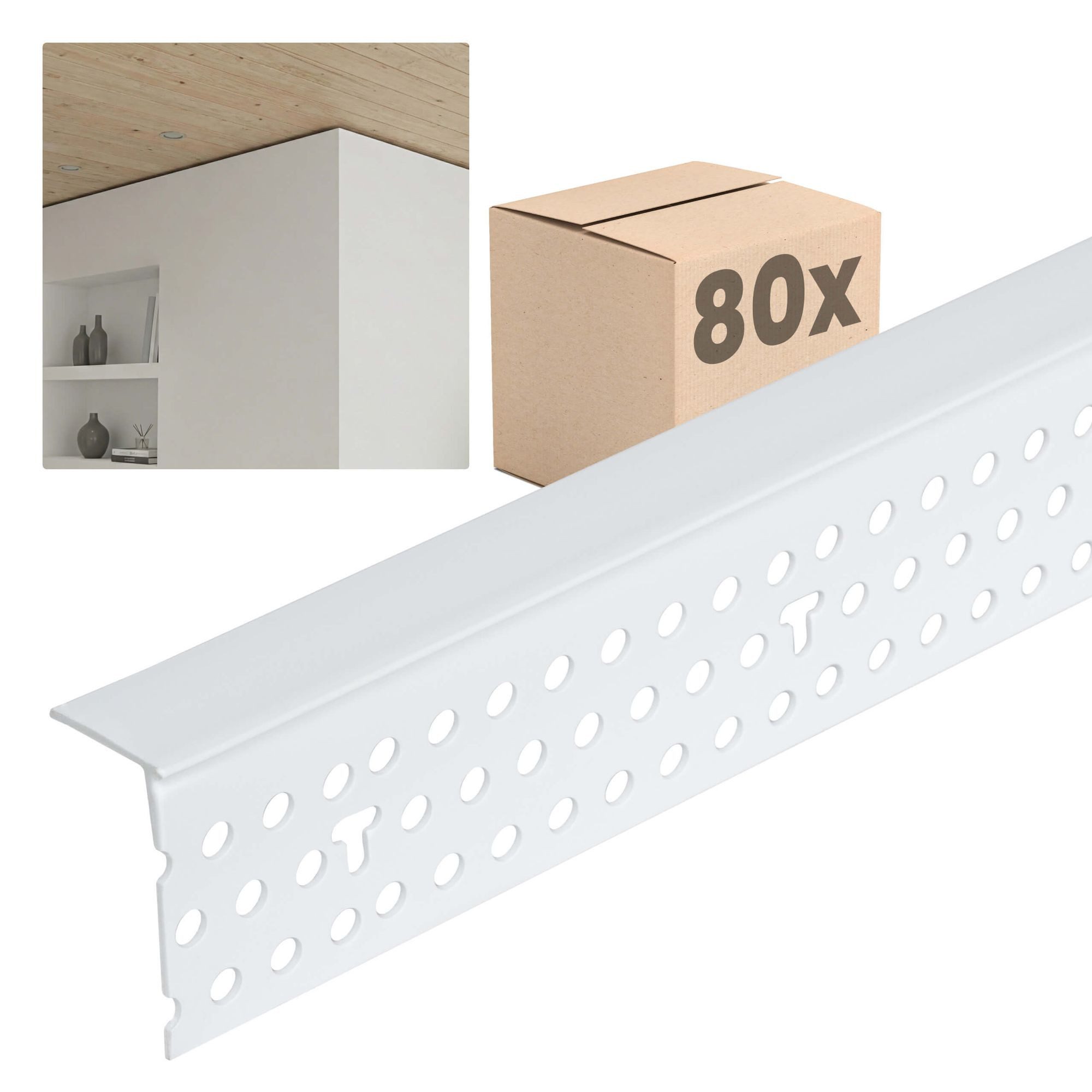 PROTEKTOR Profil (80-St)