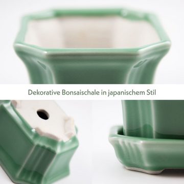 HappySeed Pflanzschale Bonsai Schale aus Keramik mit Untersetzer (Jadegrün) - 11 x 6,5 x 9 cm