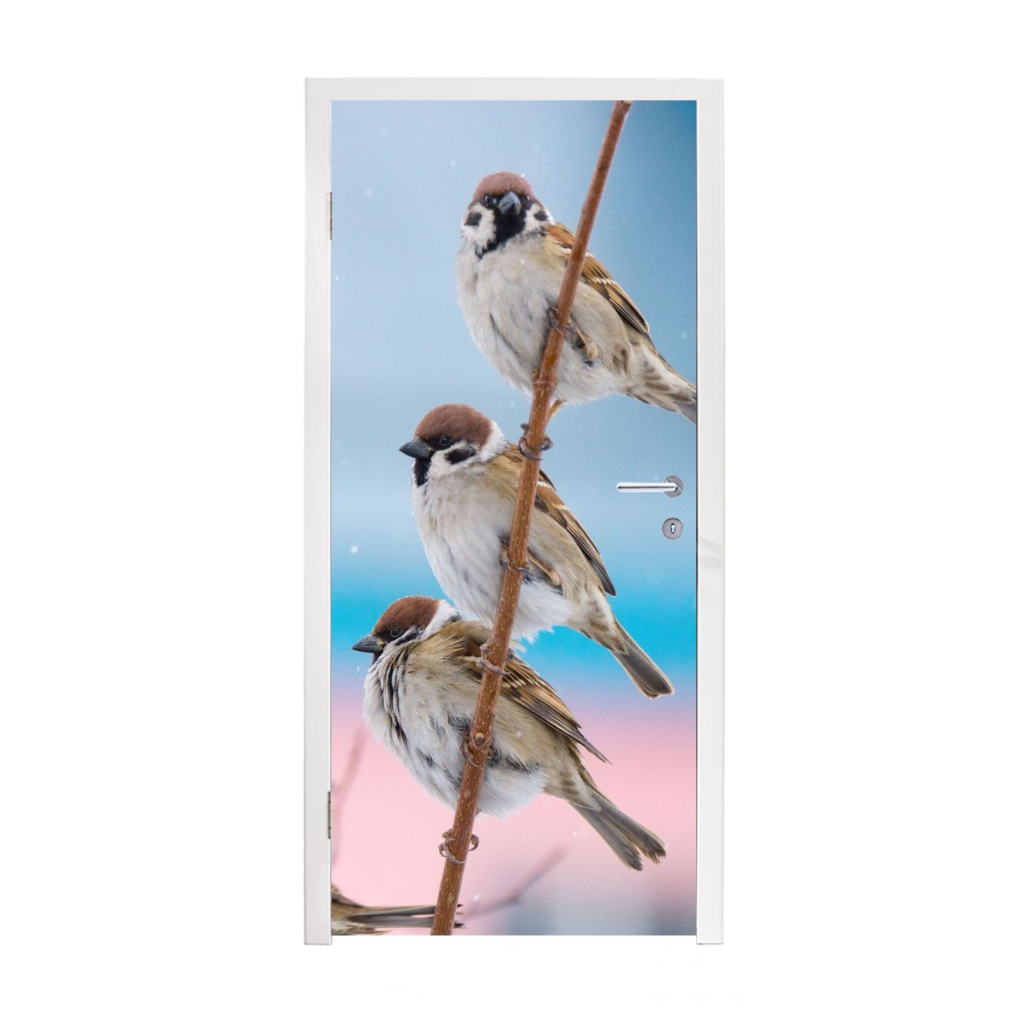 Türtapete Vögel - - Fototapete 75x205 Äste, Tiere Matt, St), bedruckt, (1 cm - Spatz Tür, Türaufkleber, für MuchoWow