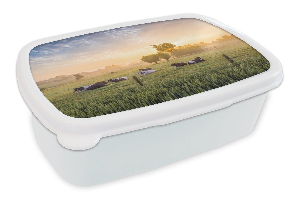 MuchoWow Lunchbox Kuh - Sonne Gras, für weiß für und und Brotbox Brotdose, Kinder Erwachsene, Jungs - (2-tlg), Kunststoff, Mädchen