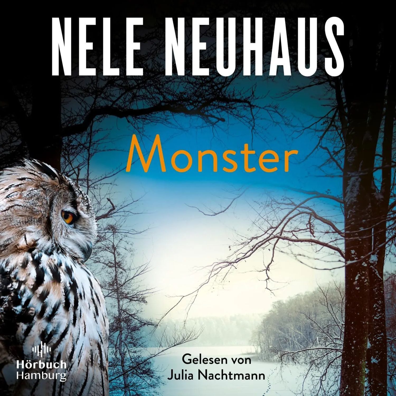 Hörbuch Hamburg Hörspiel Monster (Ein Bodenstein-Kirchhoff-Krimi 11)