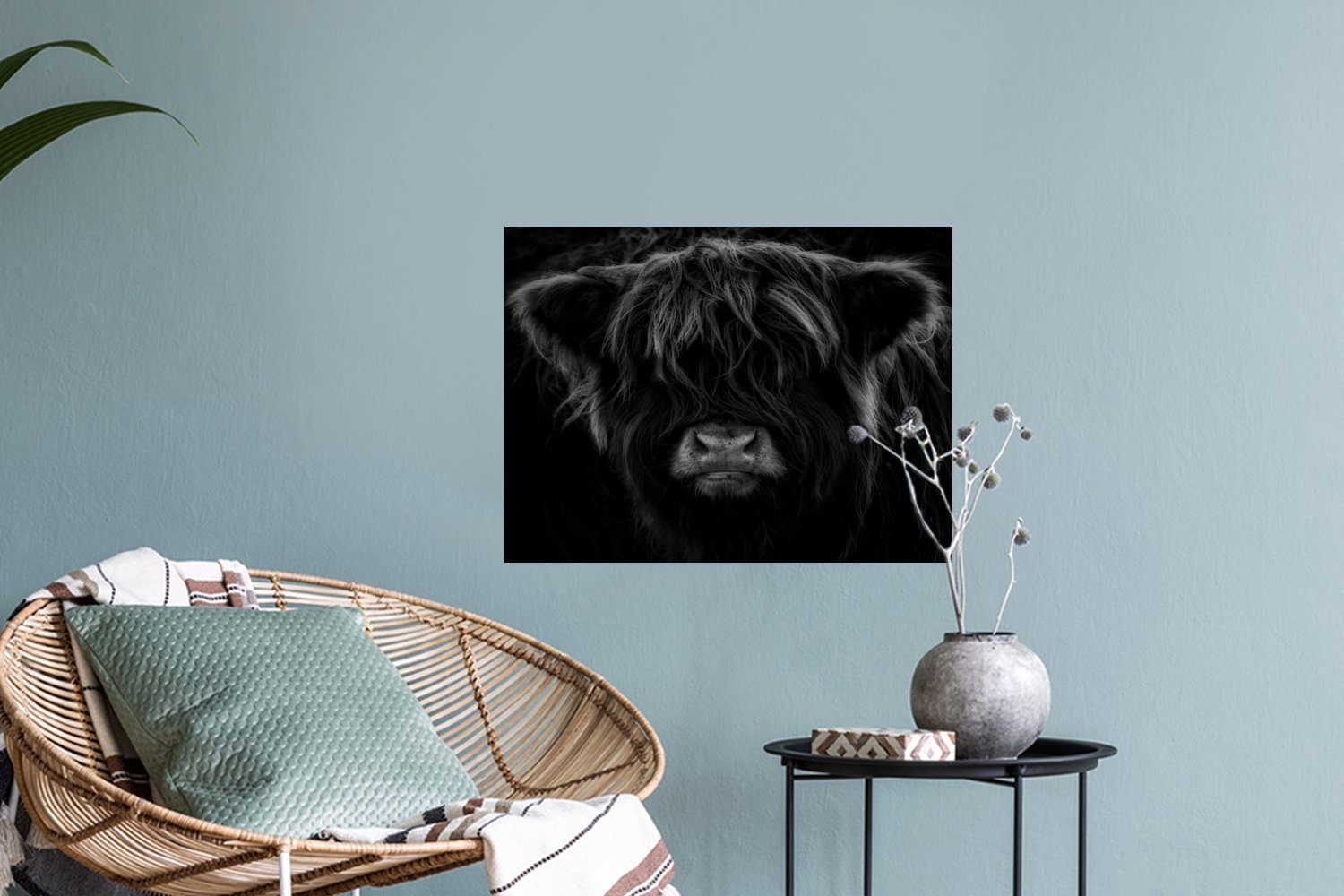 Porträt Highlander Kuh Tiere - - Schottischer - Schlafzimmer Schwarz (1 Weiß Wandaufkleber, - Wandtattoo, Wandsticker MuchoWow Selbstklebend, - St), Wohnzimmer,