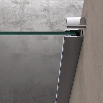 doporro Walk-in-Dusche Duschwand Bremen02BL mit Stabilisator aus Edelstahl Walk-In, Einscheibensicherheitsglas, 100 x 200 cm
