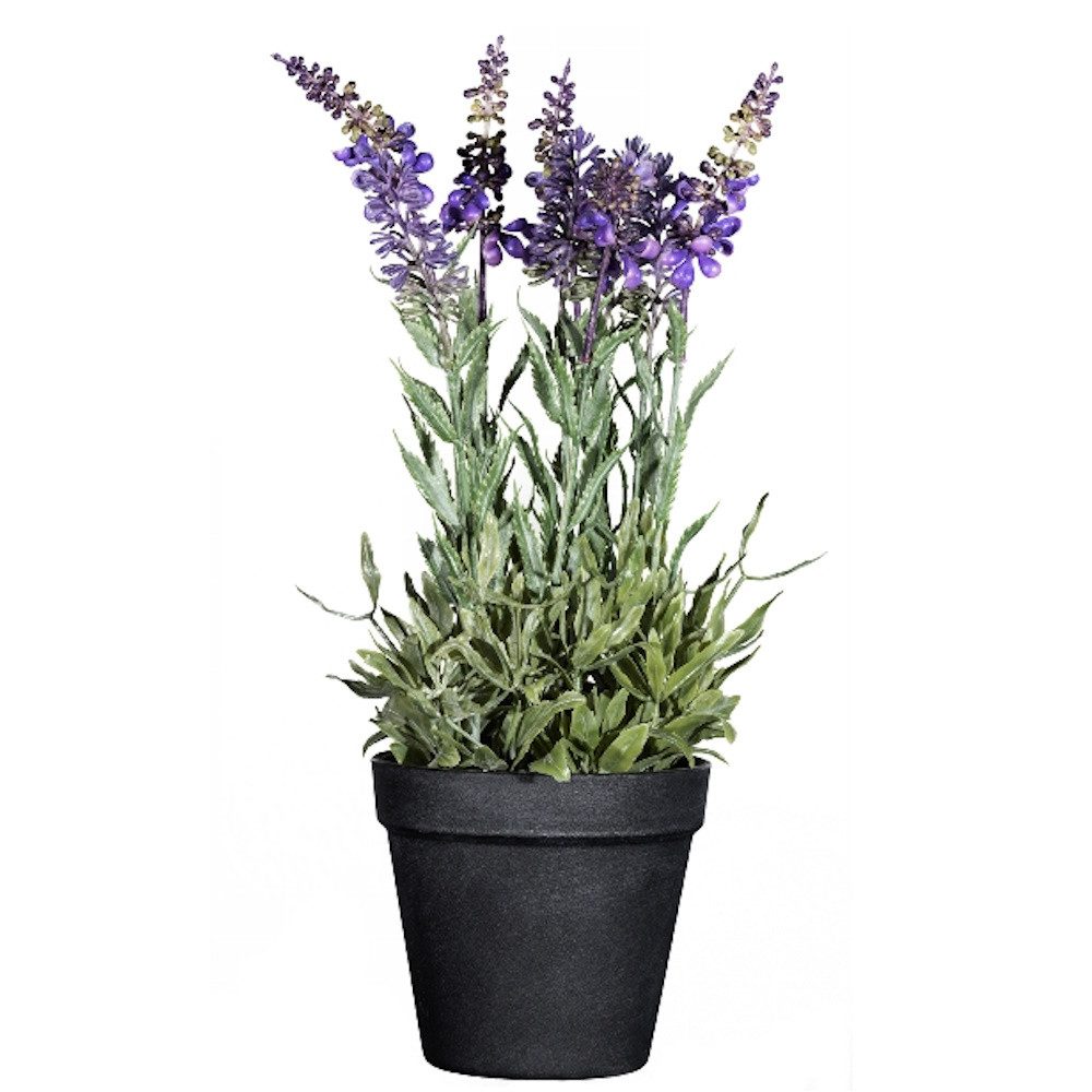 Künstliche Zimmerpflanze Topfpflanzen Lavendel, Gasper, Höhe 33 cm, Im Topf, Lila, Lavendel, H: 33cm