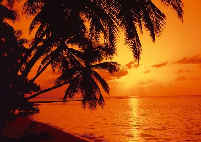 Papermoon Fototapete »Tropic Sunset«, glatt-Otto