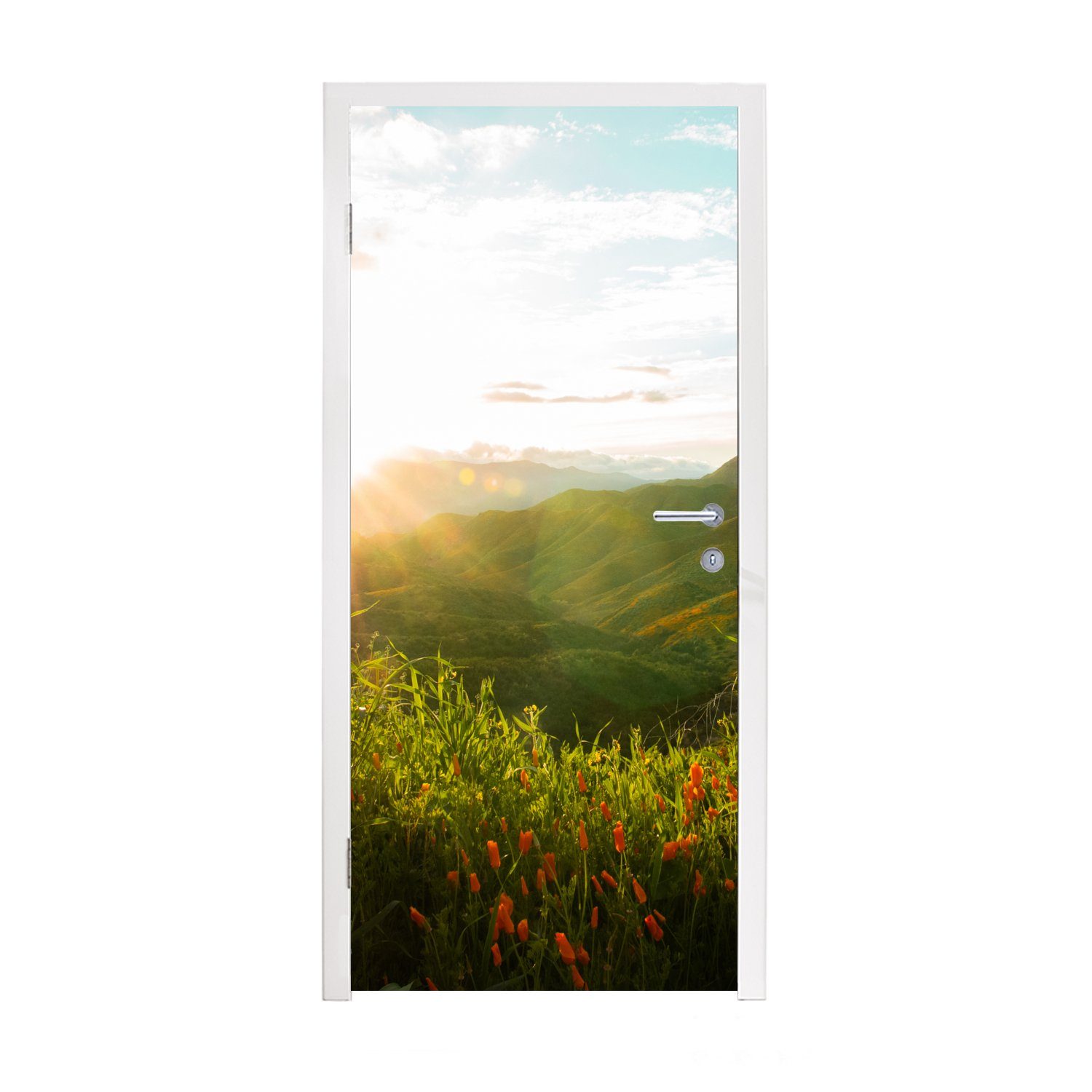 Wöchentliche Bestseller MuchoWow Türtapete Hügel - Sonnenuntergang Tür, Matt, 75x205 für Grün, - Fototapete (1 bedruckt, St), cm Gras - Türaufkleber