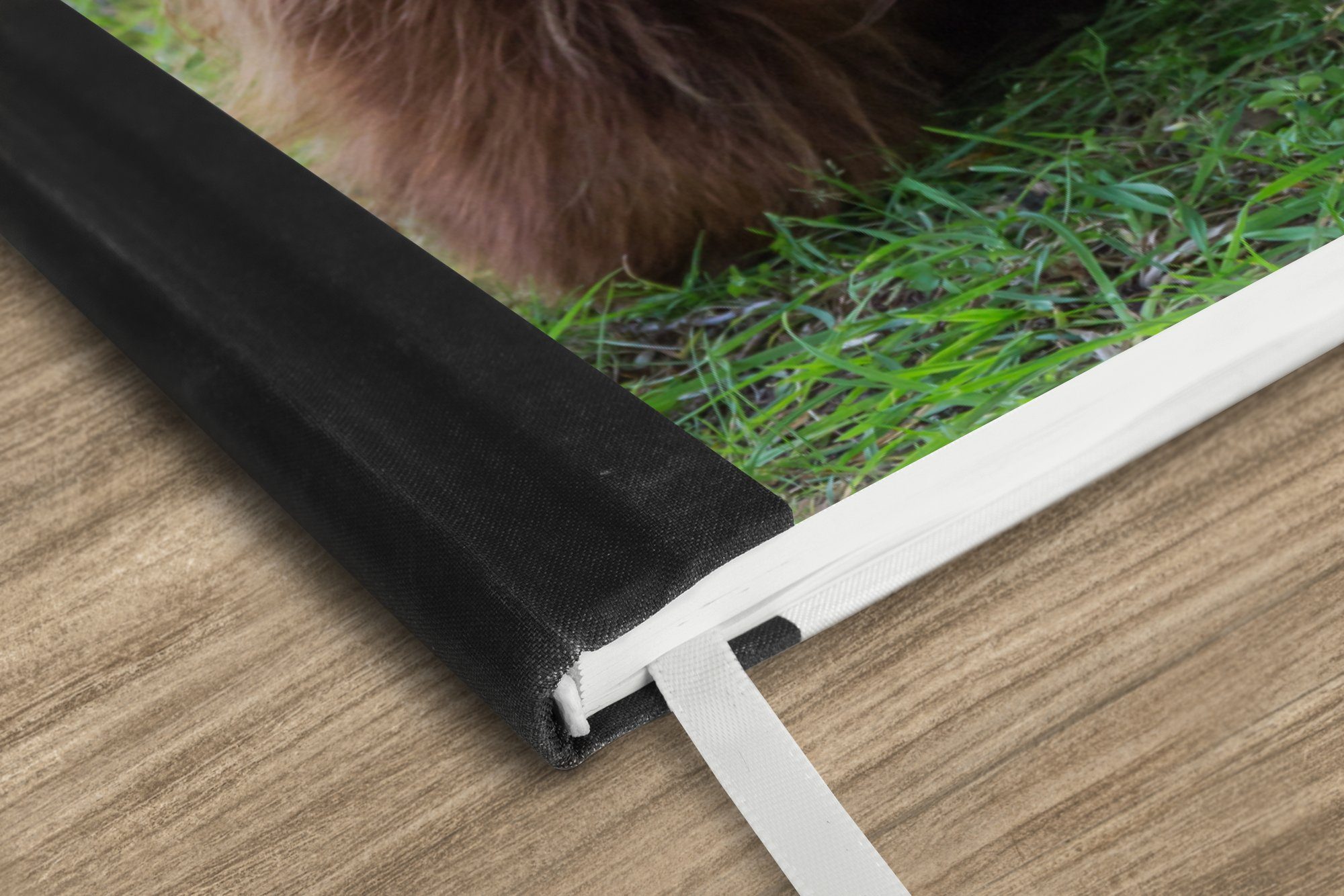 Thumbnail - MuchoWow Notizbuch Schottischer Highlander - Kröte - Tiere, Notebook, Notizblock a5, Tagebuch, Journal Liniert