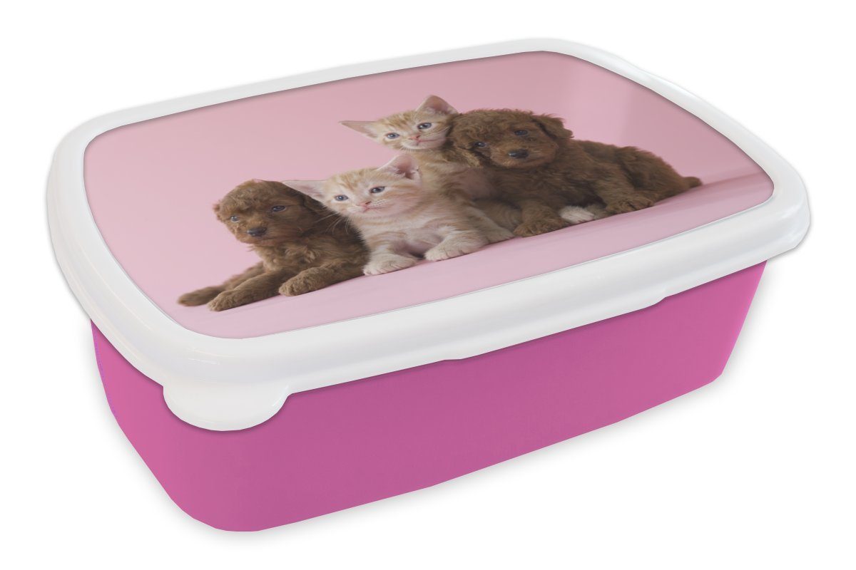 - MuchoWow Welpe Snackbox, Kunststoff, Rosa, für Kätzchen - Kunststoff (2-tlg), Kinder, Mädchen, Lunchbox Brotdose Erwachsene, Brotbox