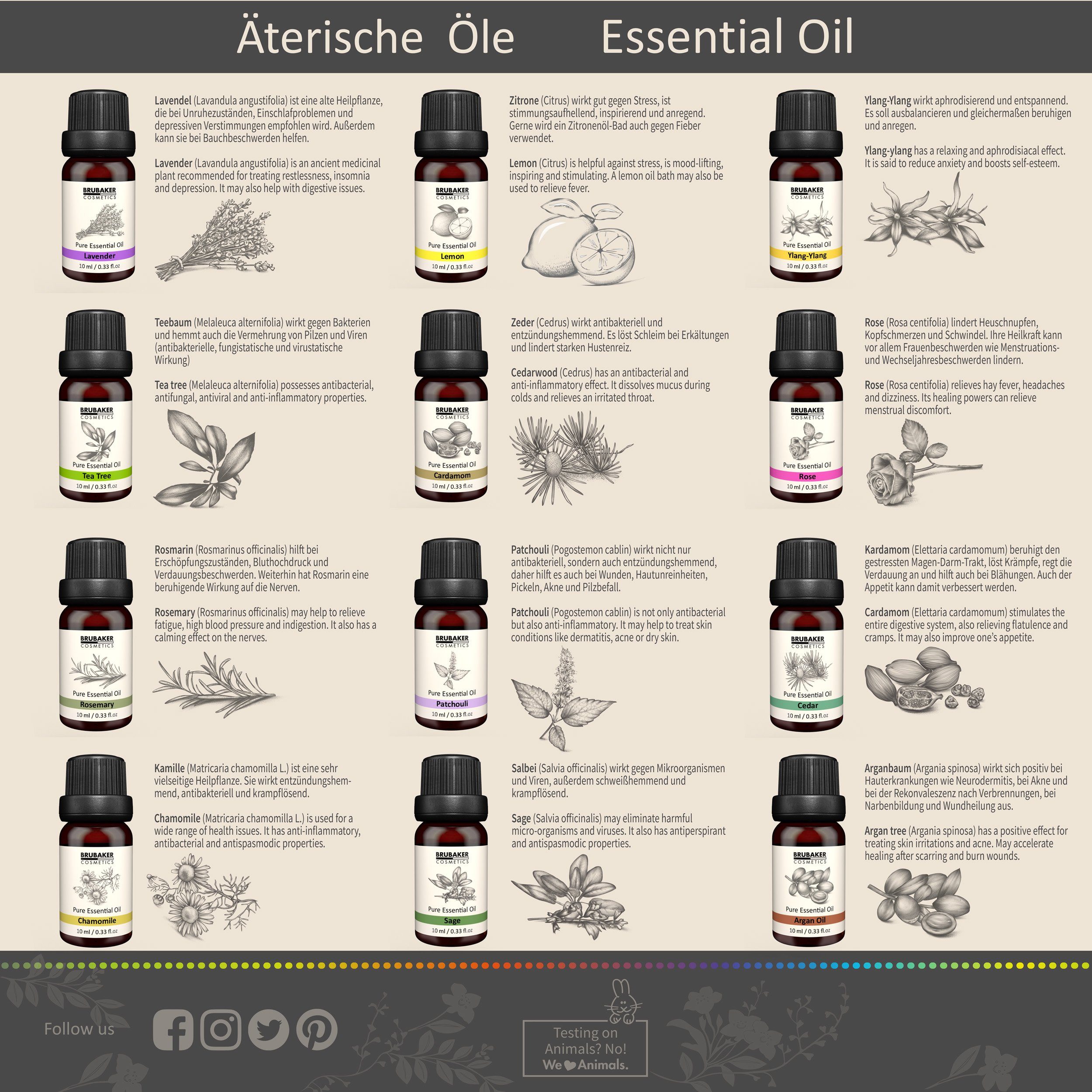 BRUBAKER Duftöl 12er-Set Ätherische Öle 12 x 10 ml (Patchouli Salbei Ylang-Ylang Kardamom Argan Teebaum, Lavendel Rose Rosmarin Kamille Zitrone Zeder), Ätherische Öle Aromatherapie Geschenkset