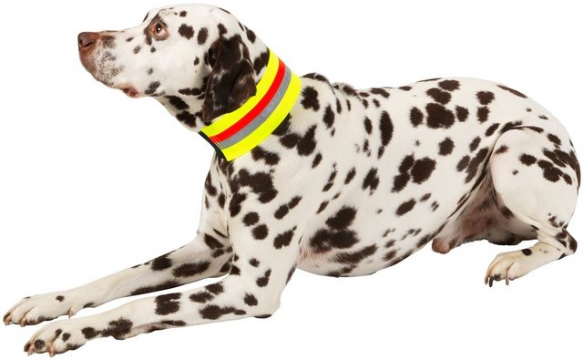 HEIM Hunde-Halsband “Signalhalsband”, Textil