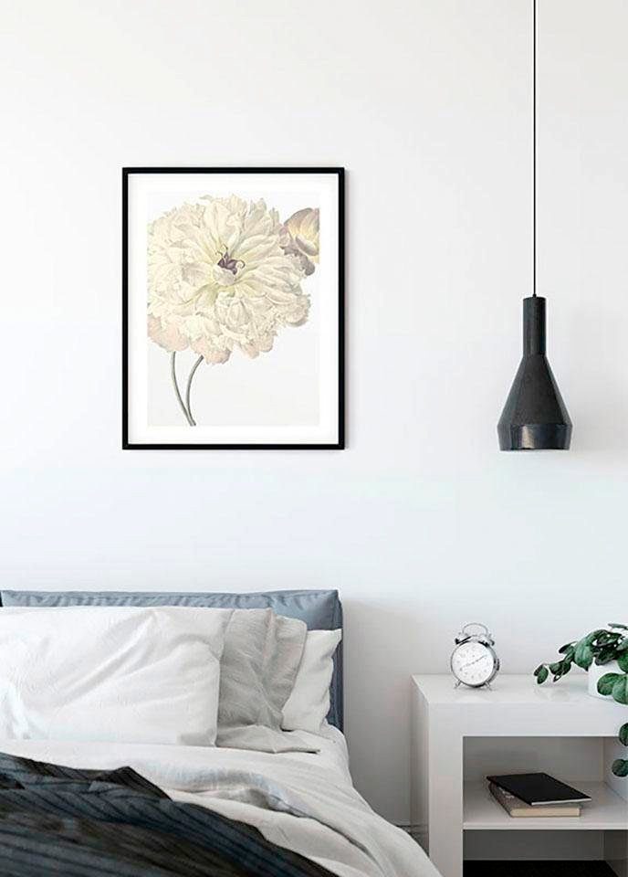 Komar Bild Illustration Dahlia, Blumen (1 St), Wandbild zur Dekoration - ohne Rahmen