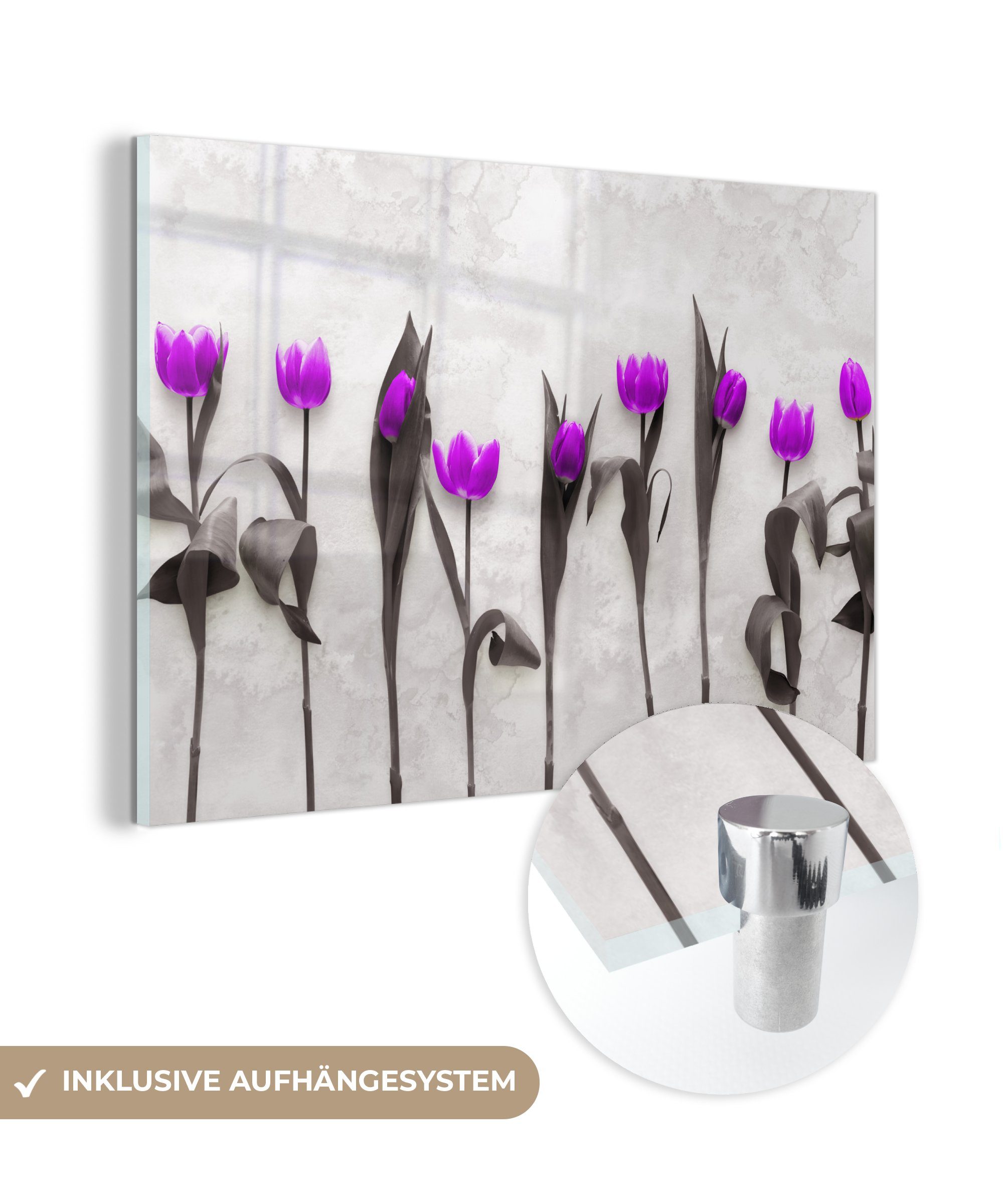 MuchoWow Acrylglasbild Blumen - Tulpen - Lila, (1 St), Glasbilder - Bilder auf Glas Wandbild - Foto auf Glas - Wanddekoration