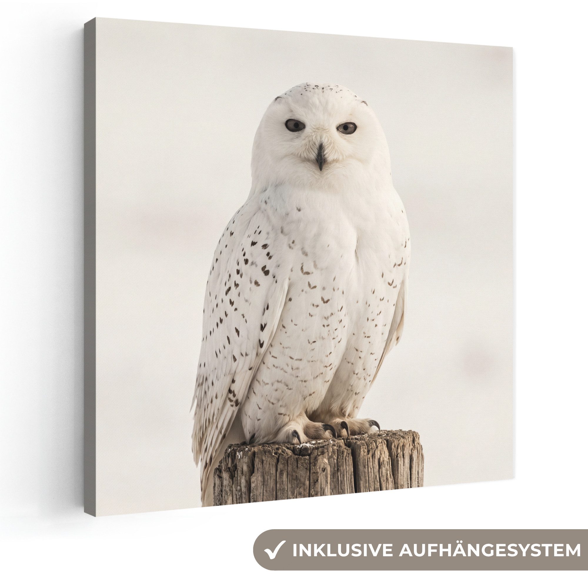 OneMillionCanvasses® Leinwandbild Schneeeule – Pfahl – Winter – Porträt – Majestätisch, Fotodruck (1 St), Wandbild, Deko Schlafzimmer Wohnzimmer Flur 20×20 cm