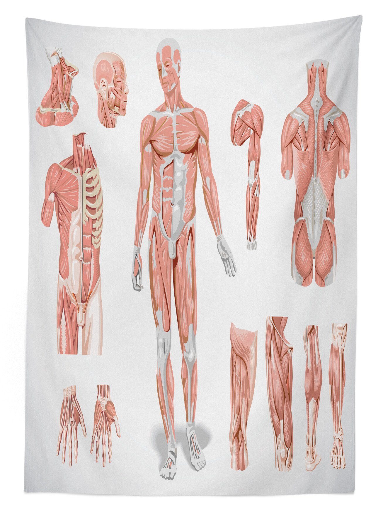 Abakuhaus Tischdecke Farbfest Waschbar Für Außen Anatomie Bereich Gesundheit Farben, Biologie der Menschen geeignet Klare den