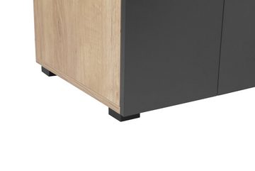 Places of Style Aktenschrank Moid Höhe 174,5 cm, moderner Mehrzweckschrank mit Türen