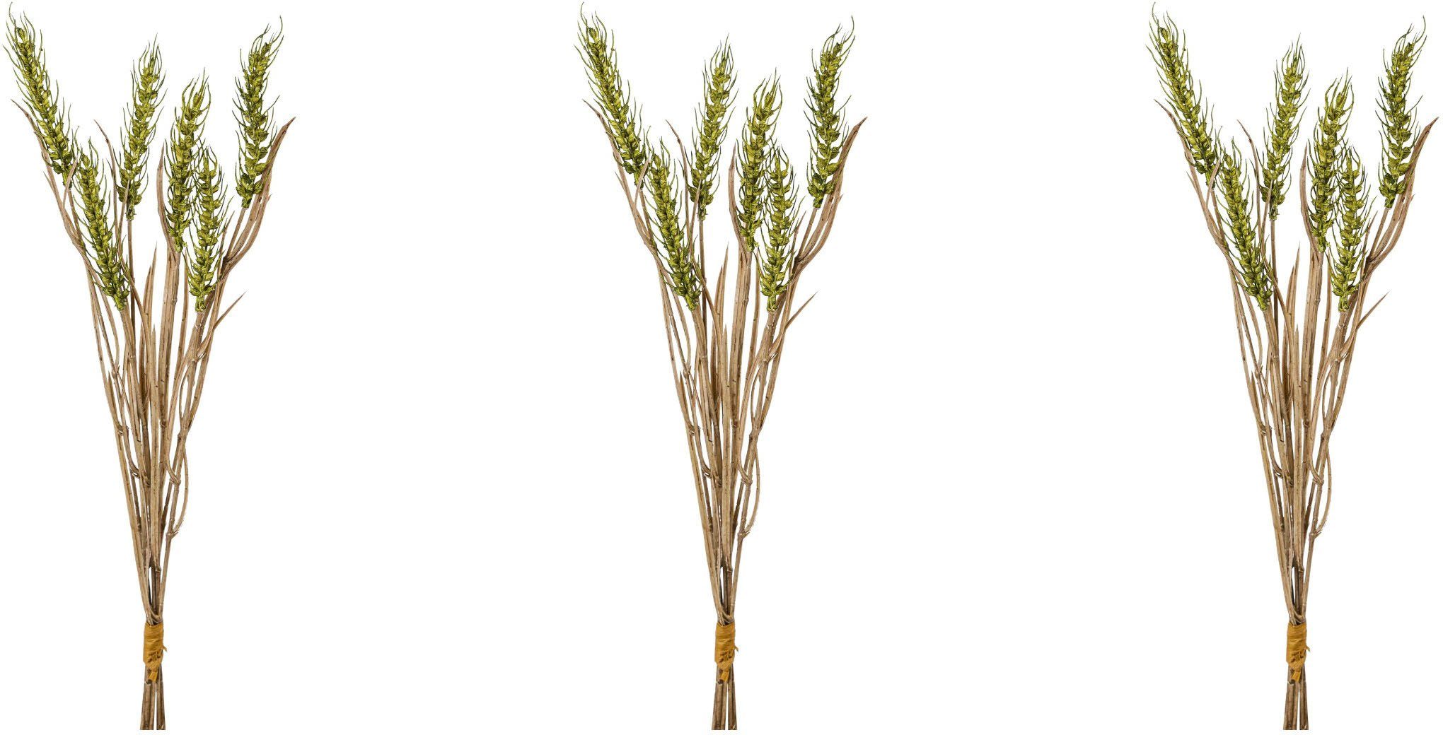 Kunstzweig Ährenbund Artischocke, Creativ green, Höhe 48 cm