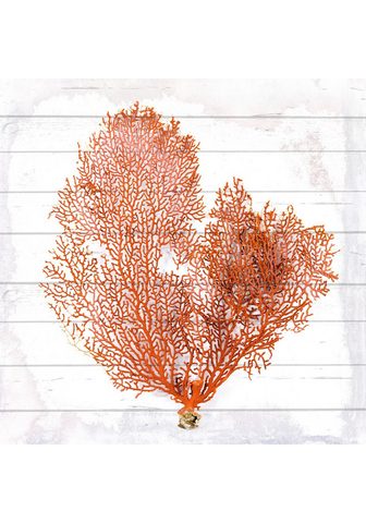 queence Holzbild »Orange Koralle« 40x40 cm