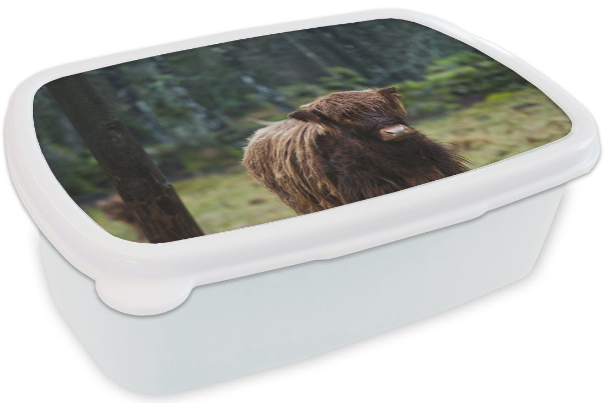 Hochländer Mädchen Brotbox Moos, (2-tlg), für und - Erwachsene, Brotdose, Lunchbox Kunststoff, Schottischer MuchoWow für und Wald Jungs Kinder - weiß