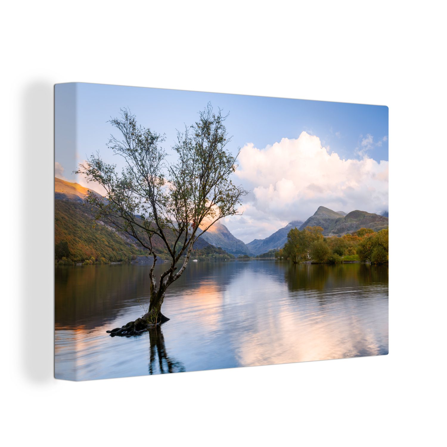 Snowdonia, besonderer den 30x20 Wanddeko, Baum OneMillionCanvasses® (1 ganz Wandbild kleiner Leinwandbilder, Aufhängefertig, in Ein Leinwandbild Gewässern St), cm von