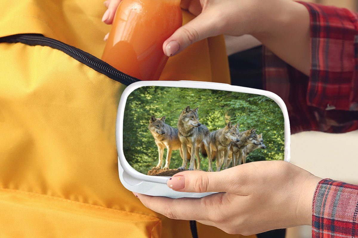 MuchoWow Lunchbox Wolf - Braun Jungs für Mädchen und - Wald, Kinder (2-tlg), Brotbox weiß Brotdose, Erwachsene, für Kunststoff, und